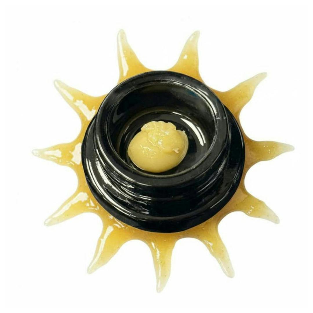 Kush Mint | Live Rosin Puck