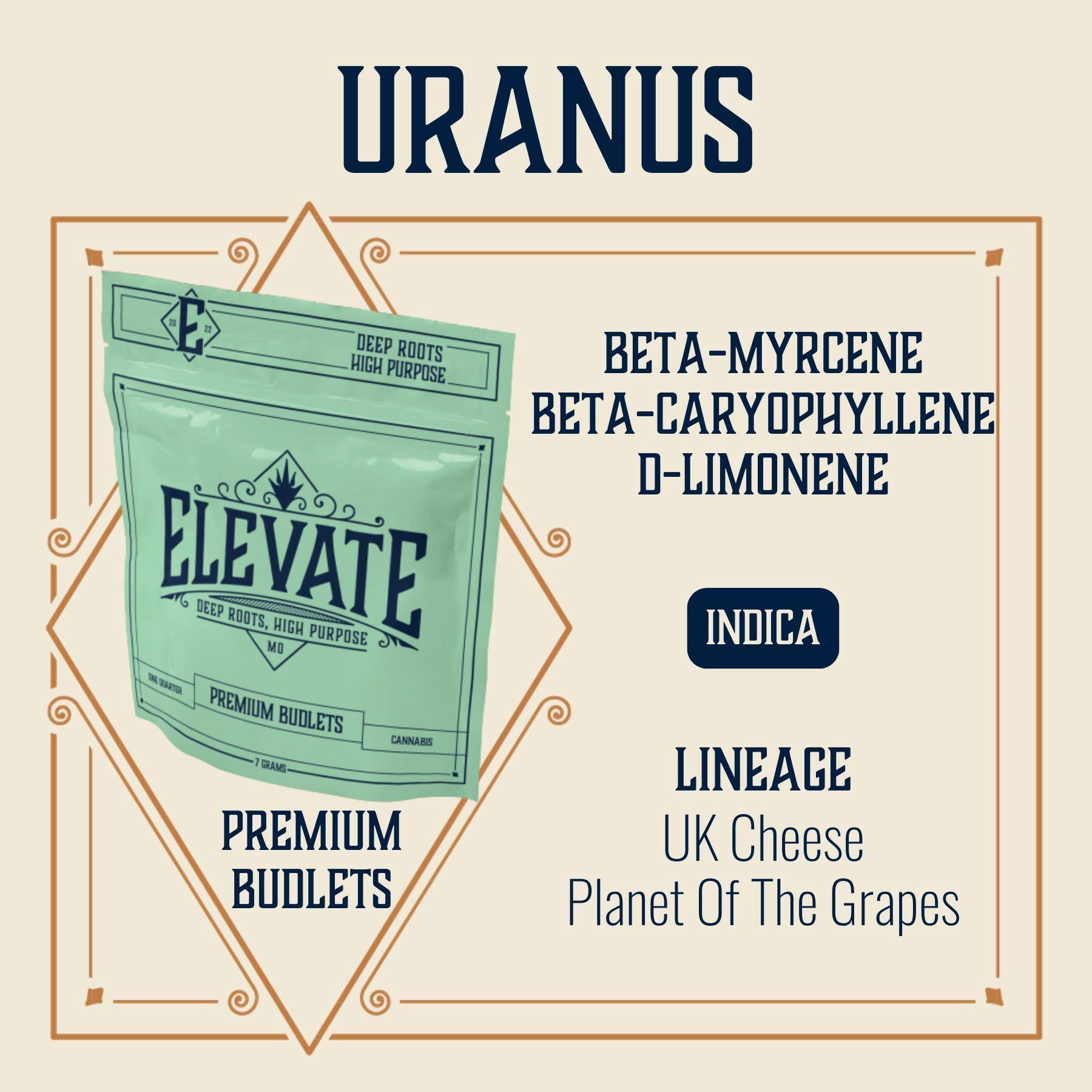 Uranus | Budlets