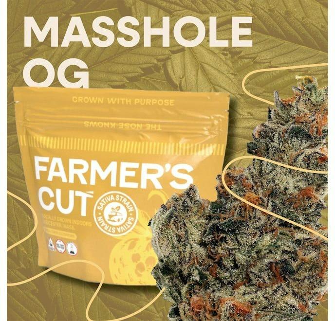 Masshole OG | Flower
