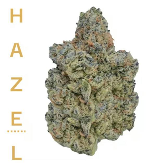 Jammerz | Flower