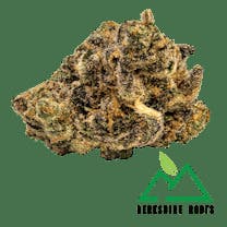 Tropicanna Banana | Flower