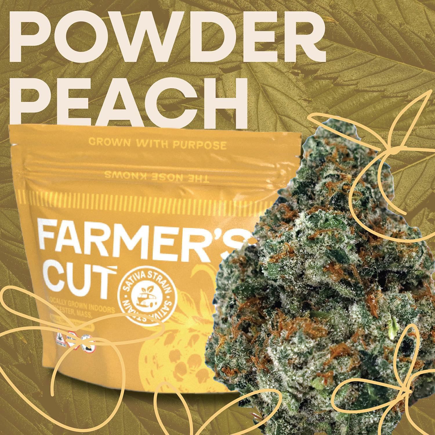 Powder Peach | Flower