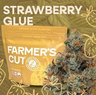 Strawberry Glue | Flower