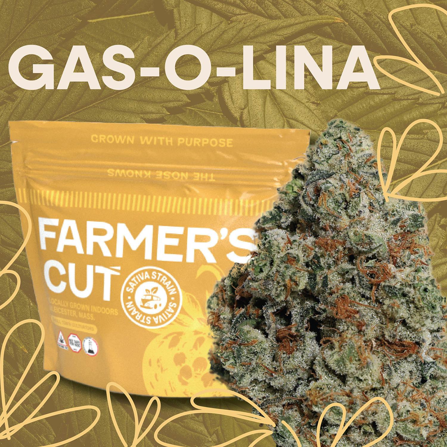 Gas-O-Lina | Flower