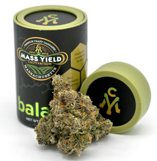 Inzane In The Membrane | Flower