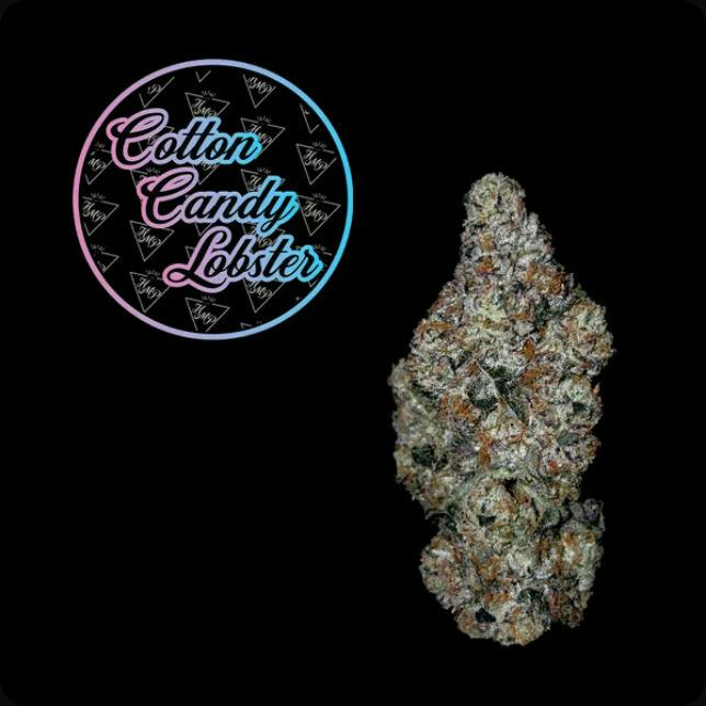 Cotton Candy Lobster | Flower