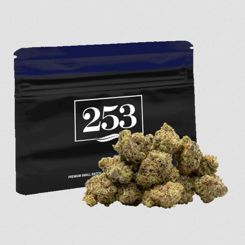 Governmint Oasis | Small Flower cannabis product