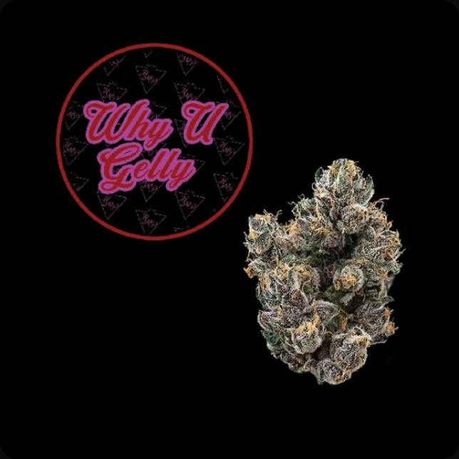 Why U Gelly | Flower | 3.5G