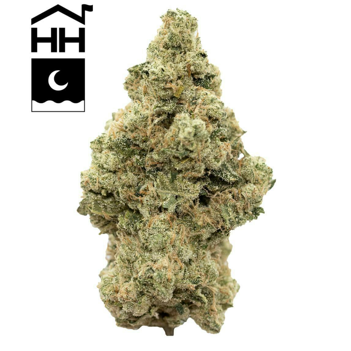 TKO | Small Bud Flower