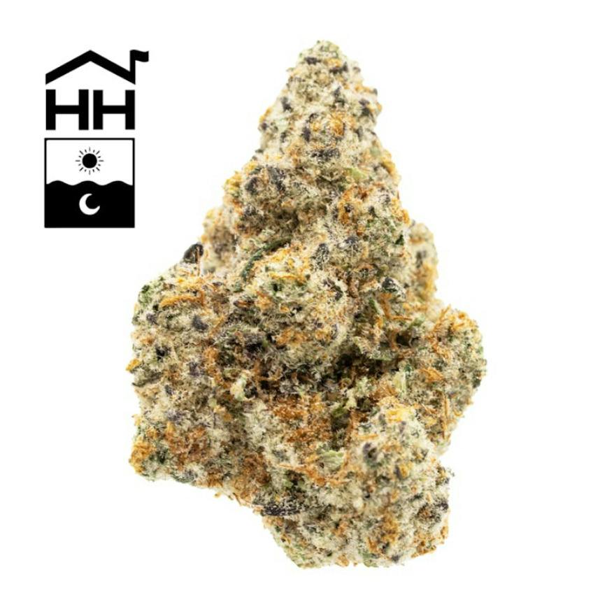 Astronaut Status #24 | Flower