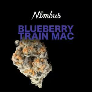 Blueberry Train Mac l Flower