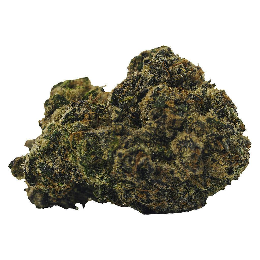 BOLD - Rocket Fuel 14g Dried Flower