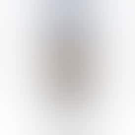 Exquisite Extracts Gary'S Kush Activated Oil 1 g