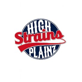 High Plainz Key Lime Mintz Joint 1 g