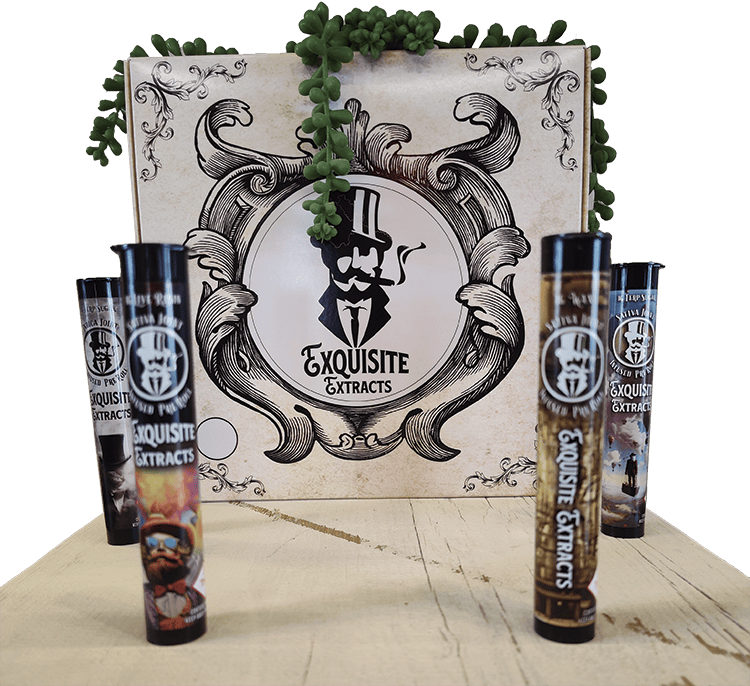 Exquisite Extracts Sizzle Fo Schizzle Infused Joint 1 g