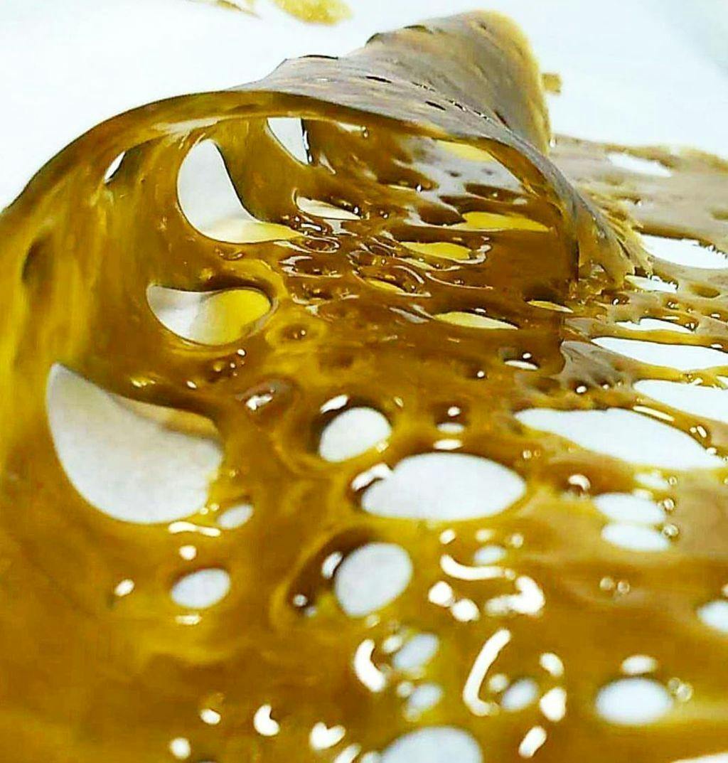 West Edison Super Lemon Haze Shatter 1 g