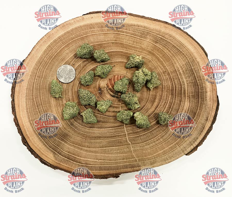 High Plainz Silver PW Mr. Nasty Bulk PW