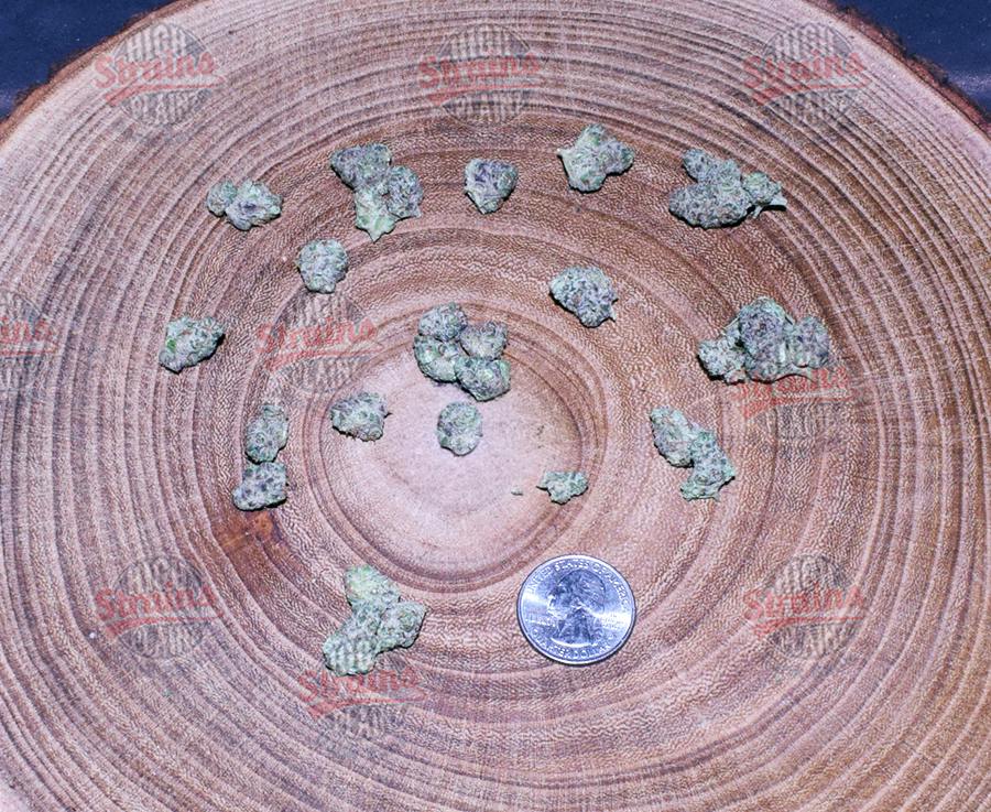 High Plainz Purple PW Hindu Kush Bulk PW