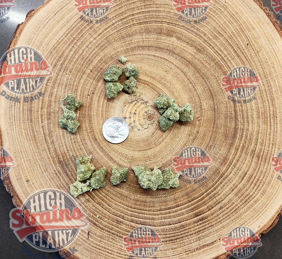 High Plainz Purple PW HWY 85 Cookies Bulk PW