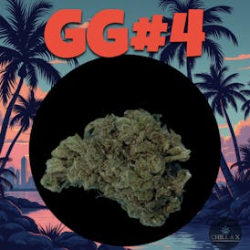 GG#4 (H) Shake Rooster