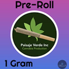 Afghan Skunk (I) 1G Preroll Verde