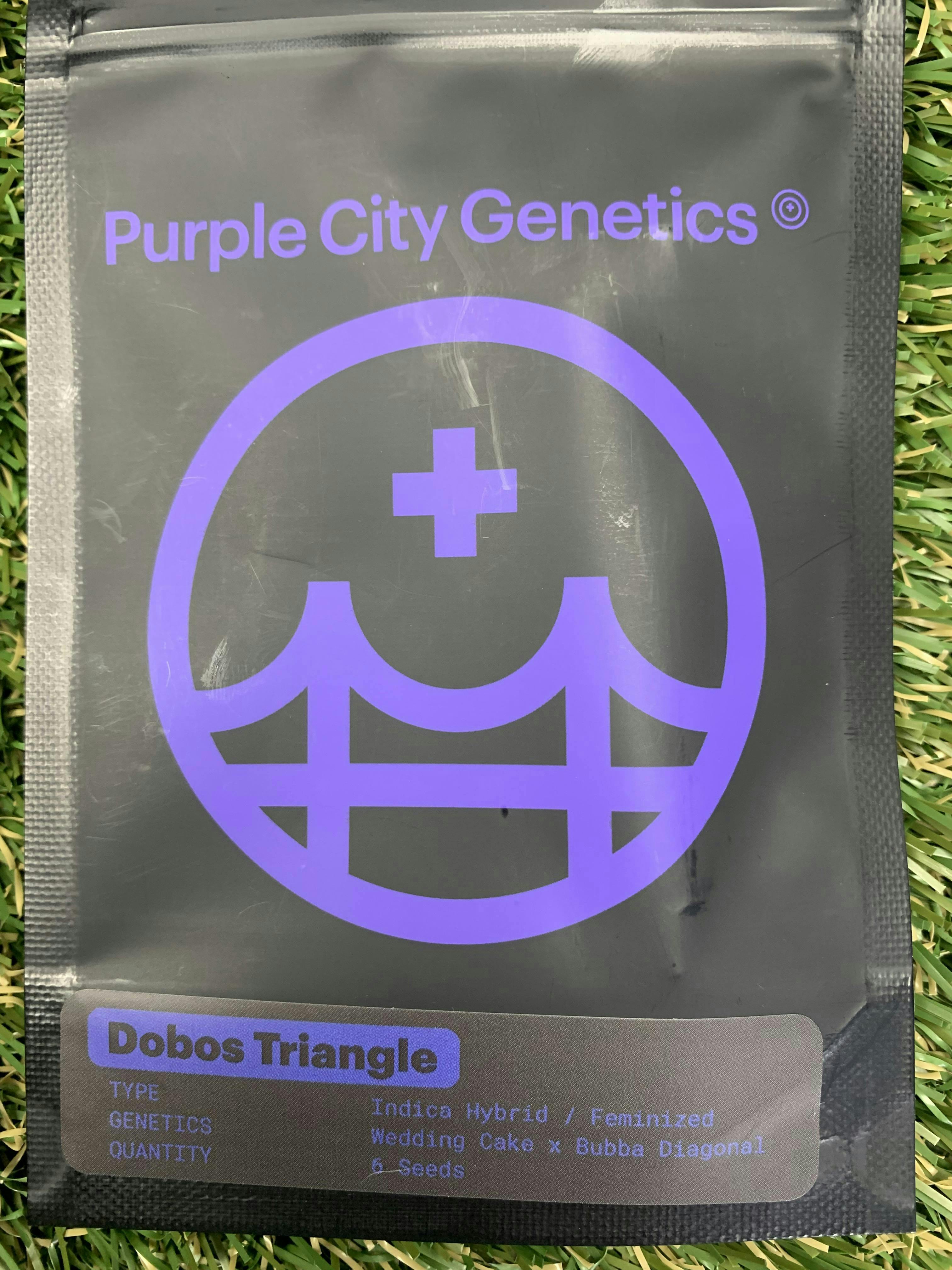 Purple City Genetics - DOBOS TRIANGLE 6PK FEMINIZED SEEDS