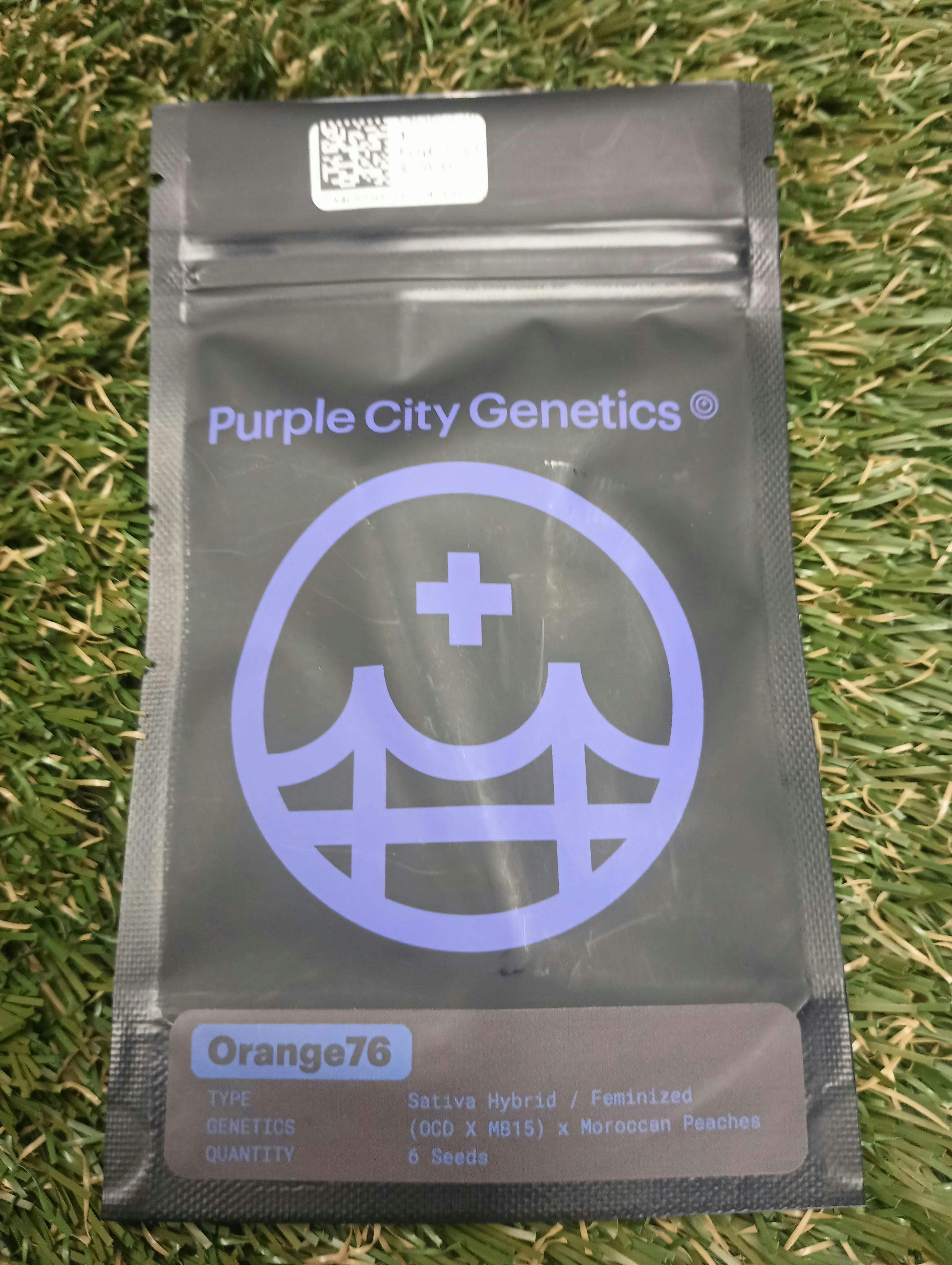 Purple City Genetics - ORANGE76 6PK FEMINIZED SEEDS