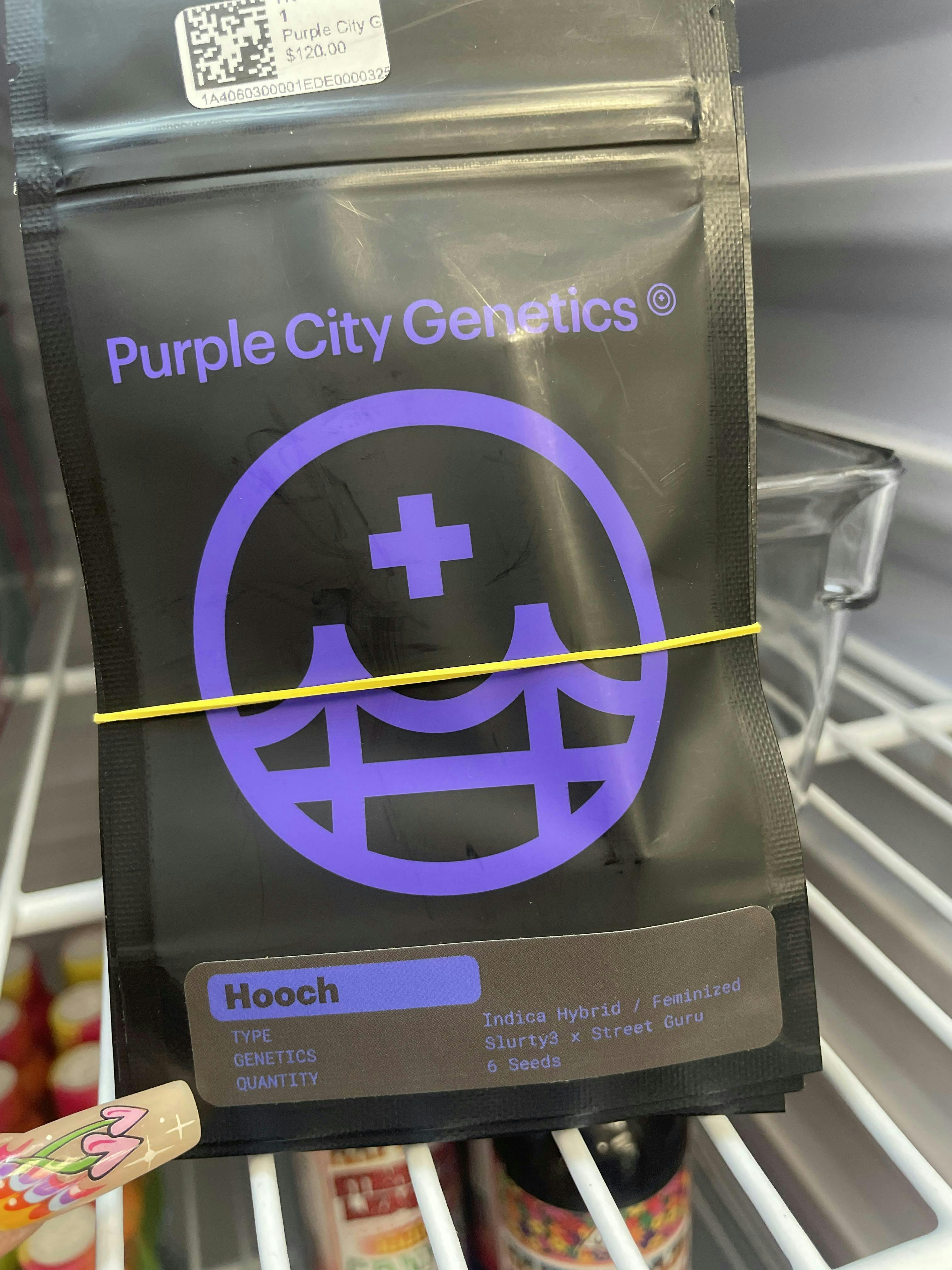 Purple City Genetics - HOOCH 6PK FEMINIZED SEEDS