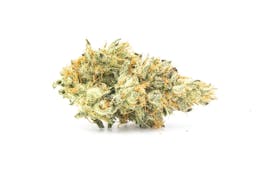 Mandarin Cookie Haze - Funderbizzle Farms - Flower - $200 OZ
