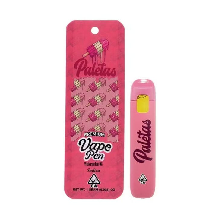 Paletas: Watermelon Sorbet