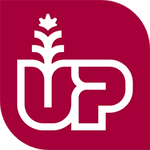 UP - RED METALIC WATER BOTTLE