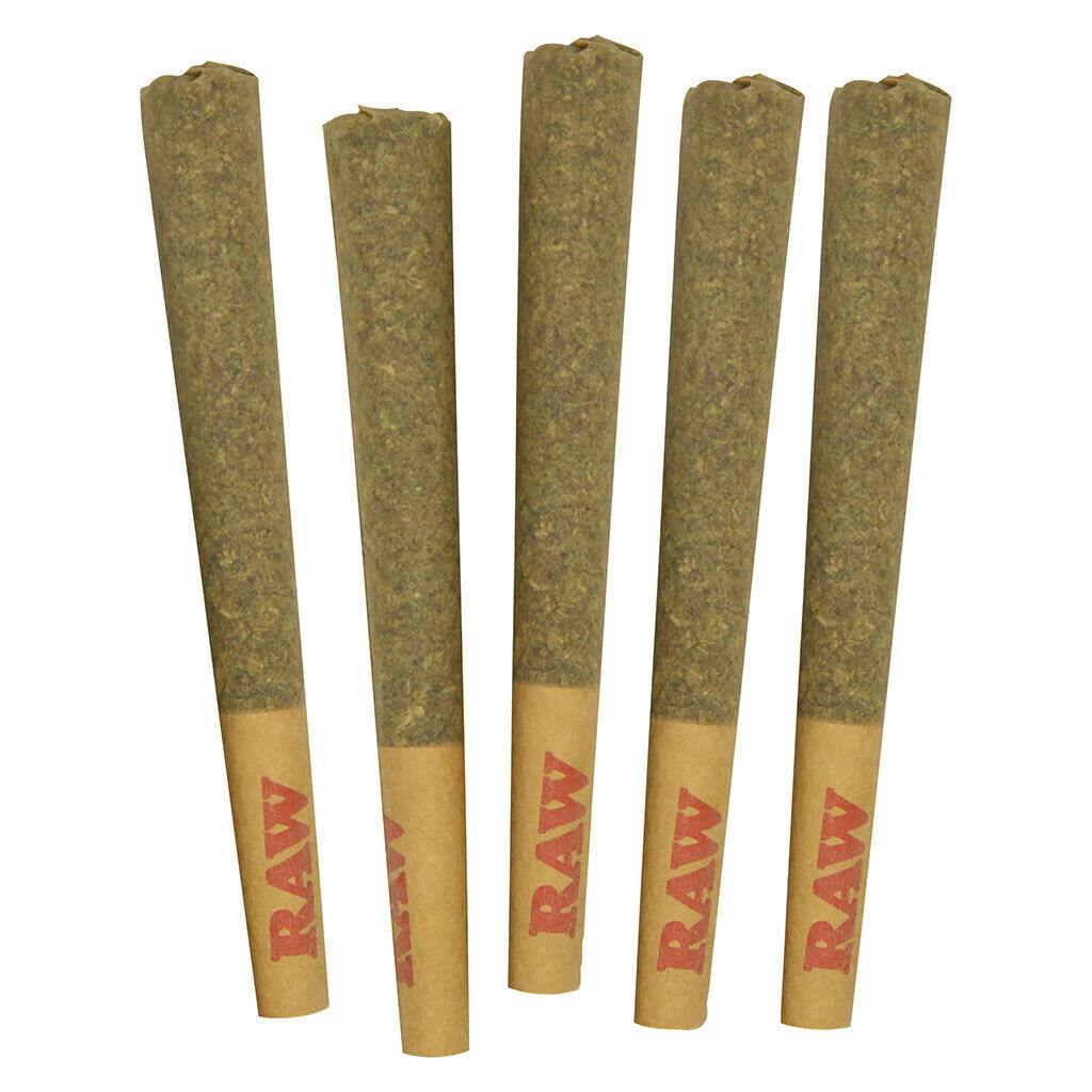 COMMON GROUND - BAHAMA BERRY 5x0.5g