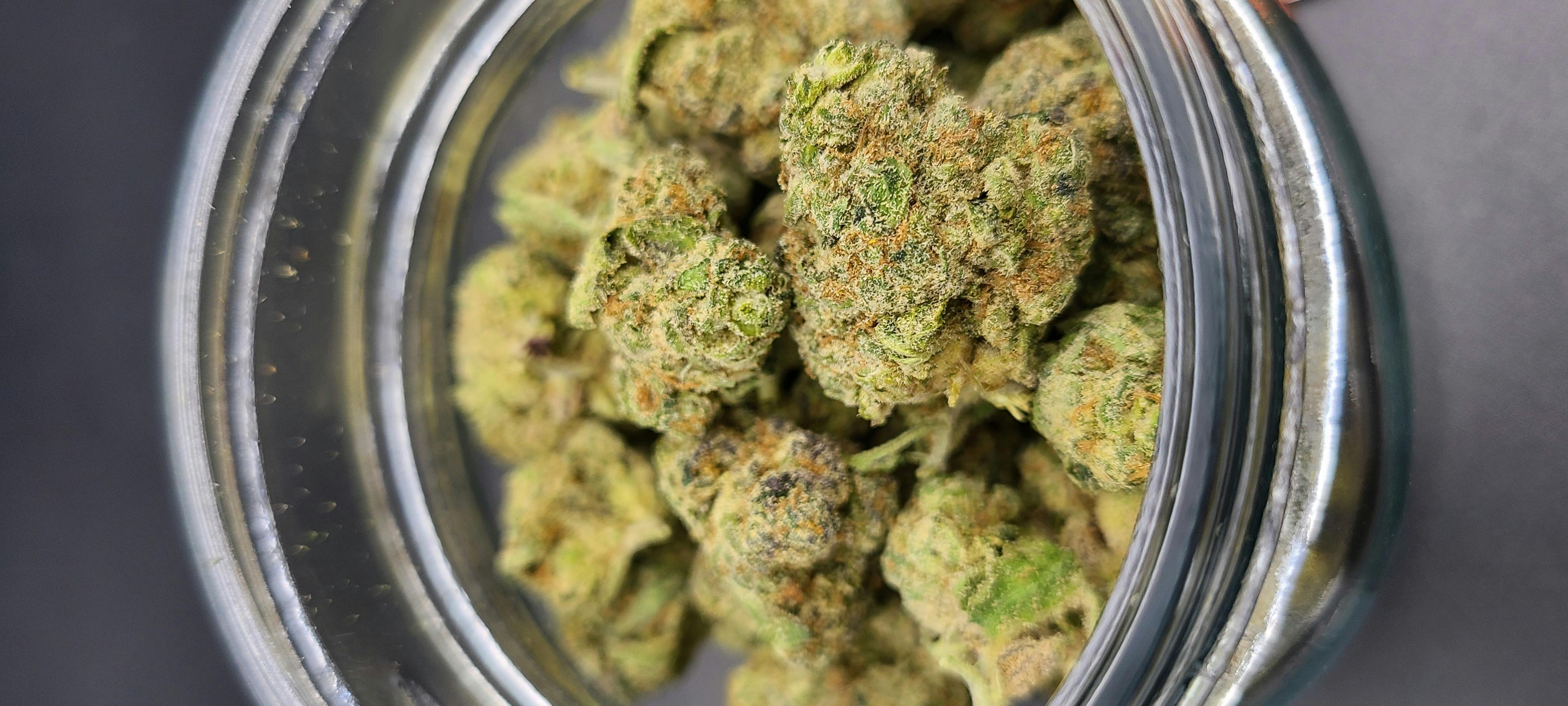 Apple Fritter
