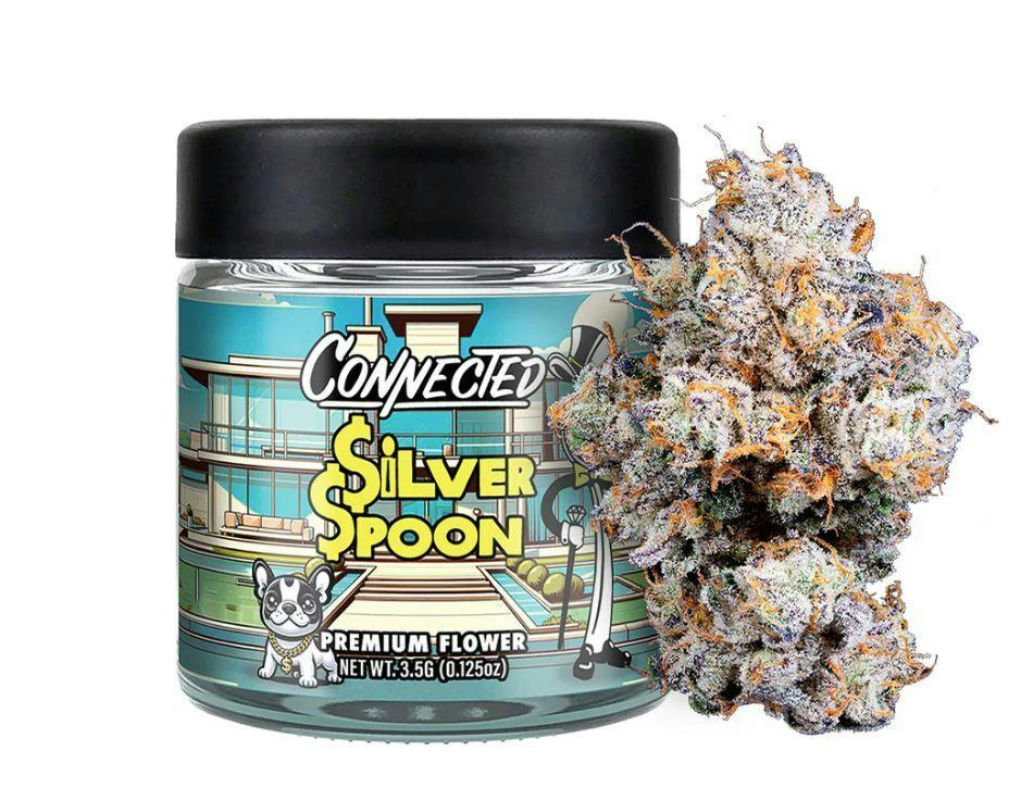 Connected | Silver Spoon