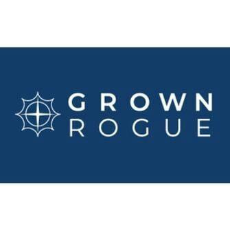 Jack Herer | Joint | 1g by Grown Rogue