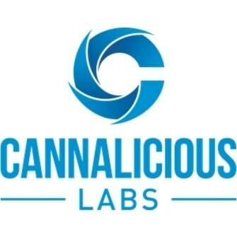 Concentrate - Cannalicious Distillate Dart - Raw 1G