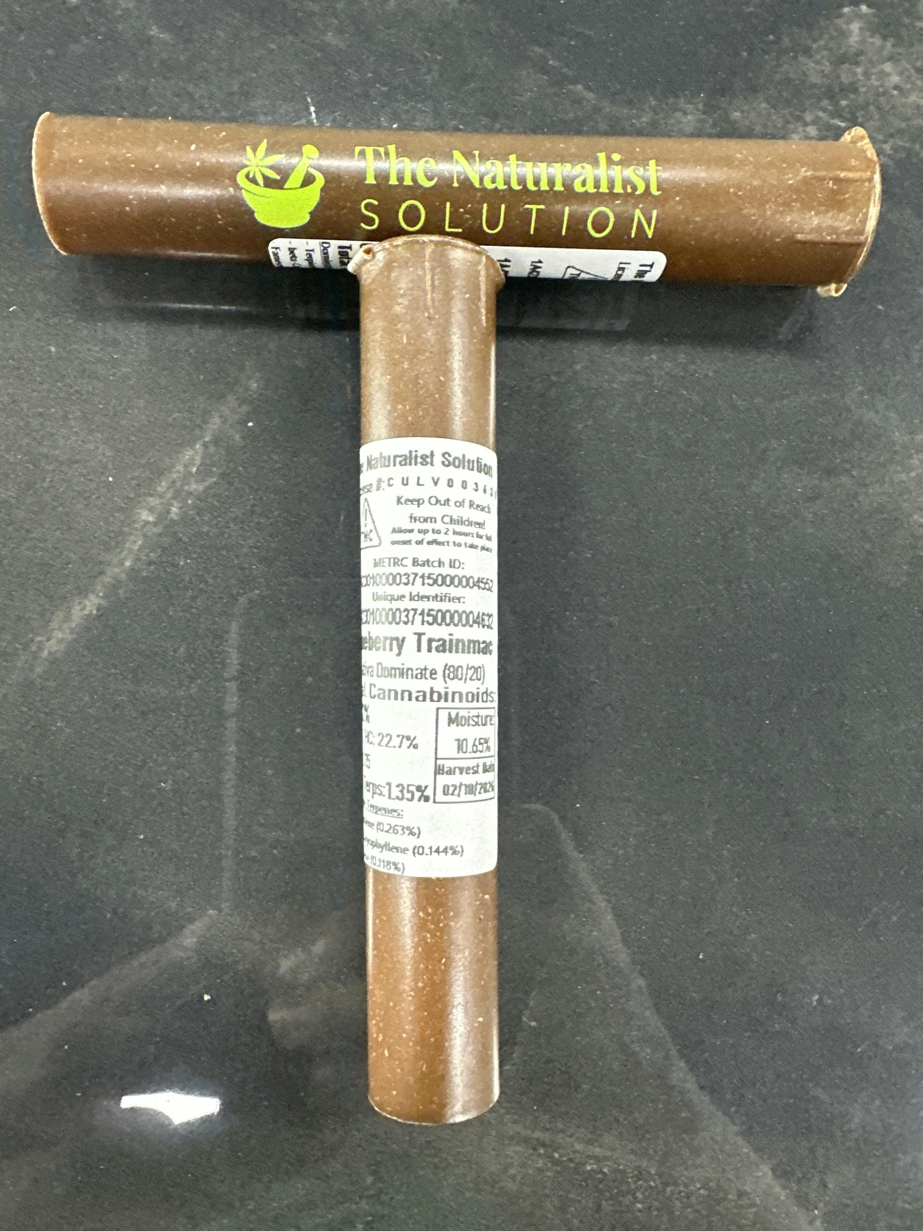 Blueberry Trainmac 2pk 0.5g Pre-Rolls | The Naturalist Solutions