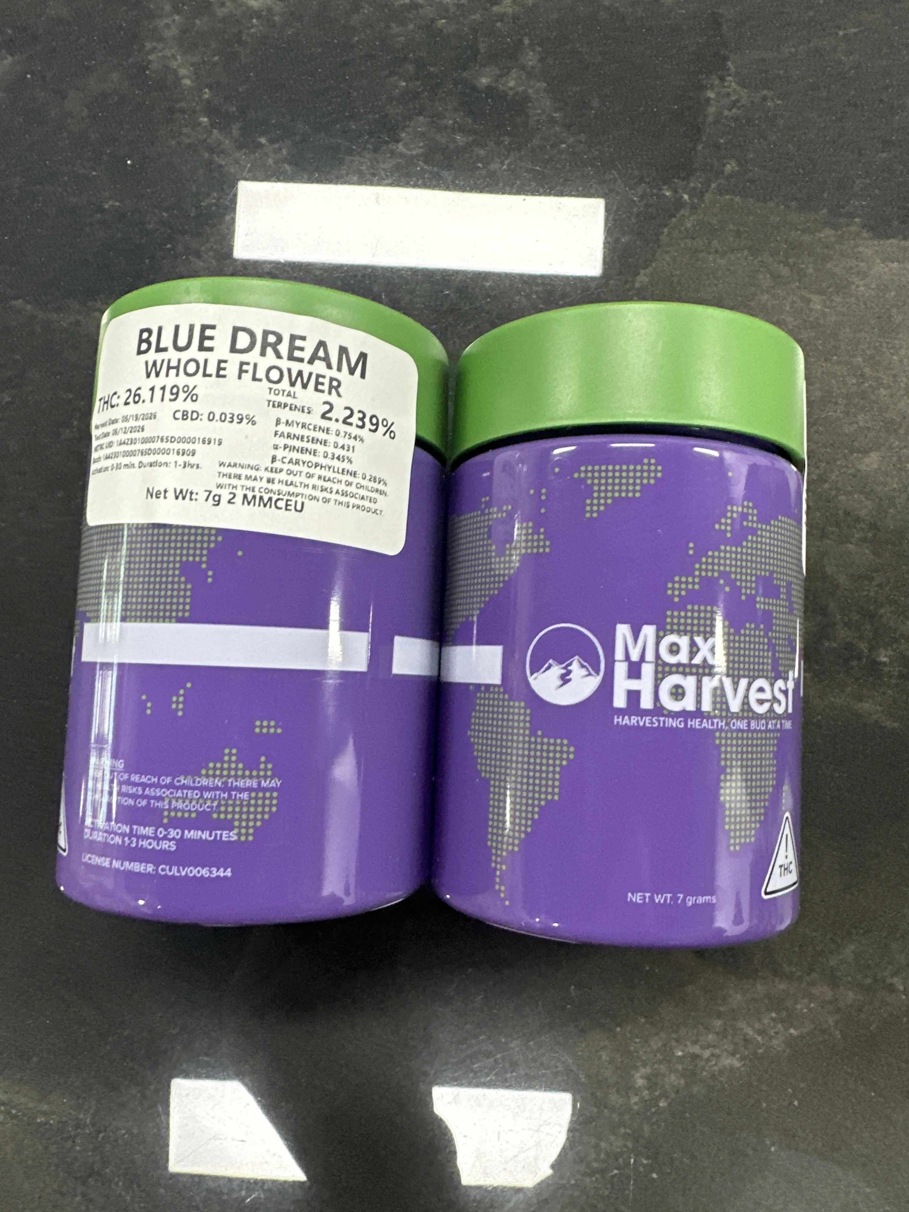 *QUARTER* Blue Dream | 7g | 26% | 2.2% Terps | Max Harvest