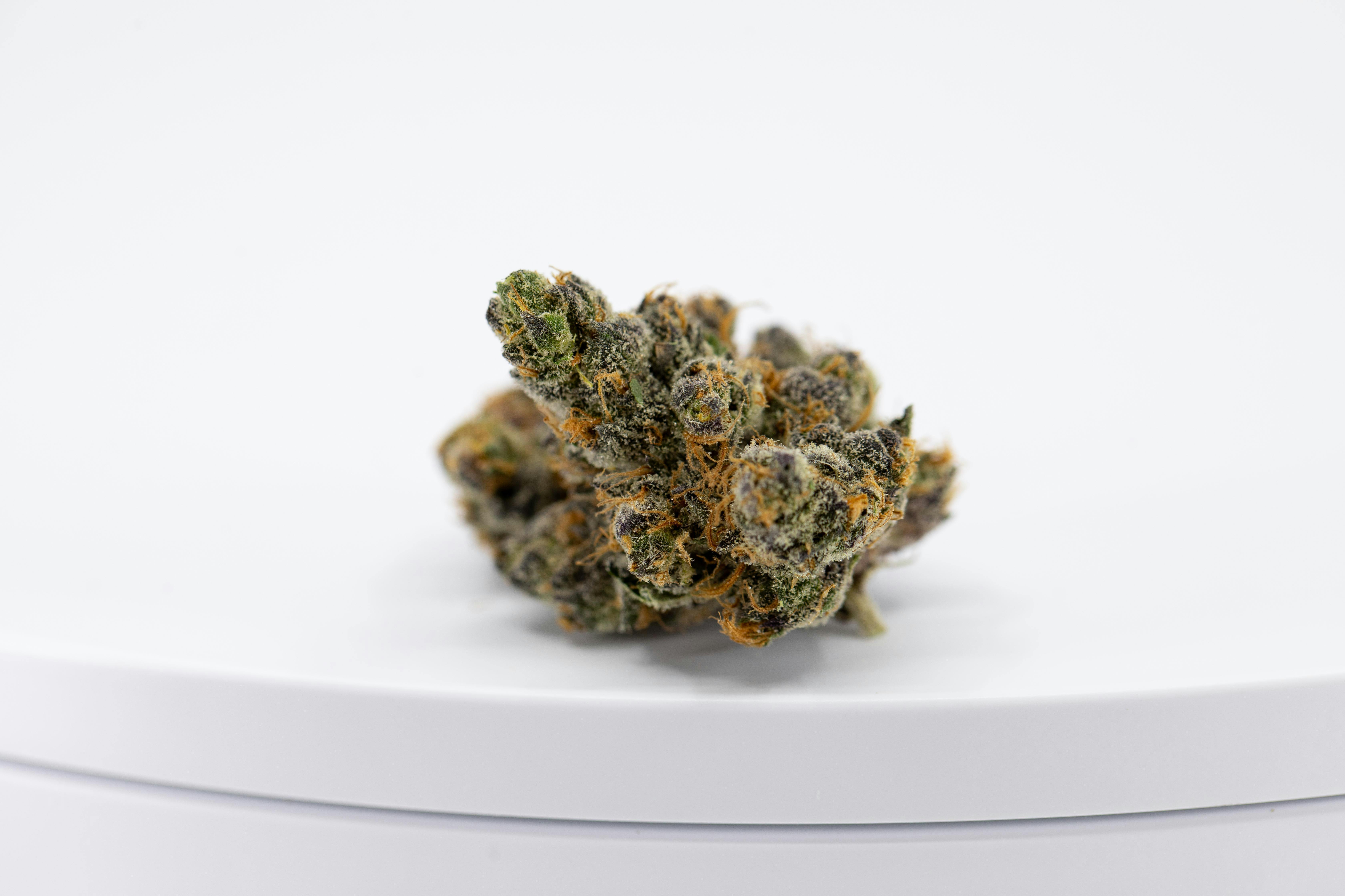 Russian Snow | Fluresh | Bulk Flower by Fluresh at Lucky Buds Stanton