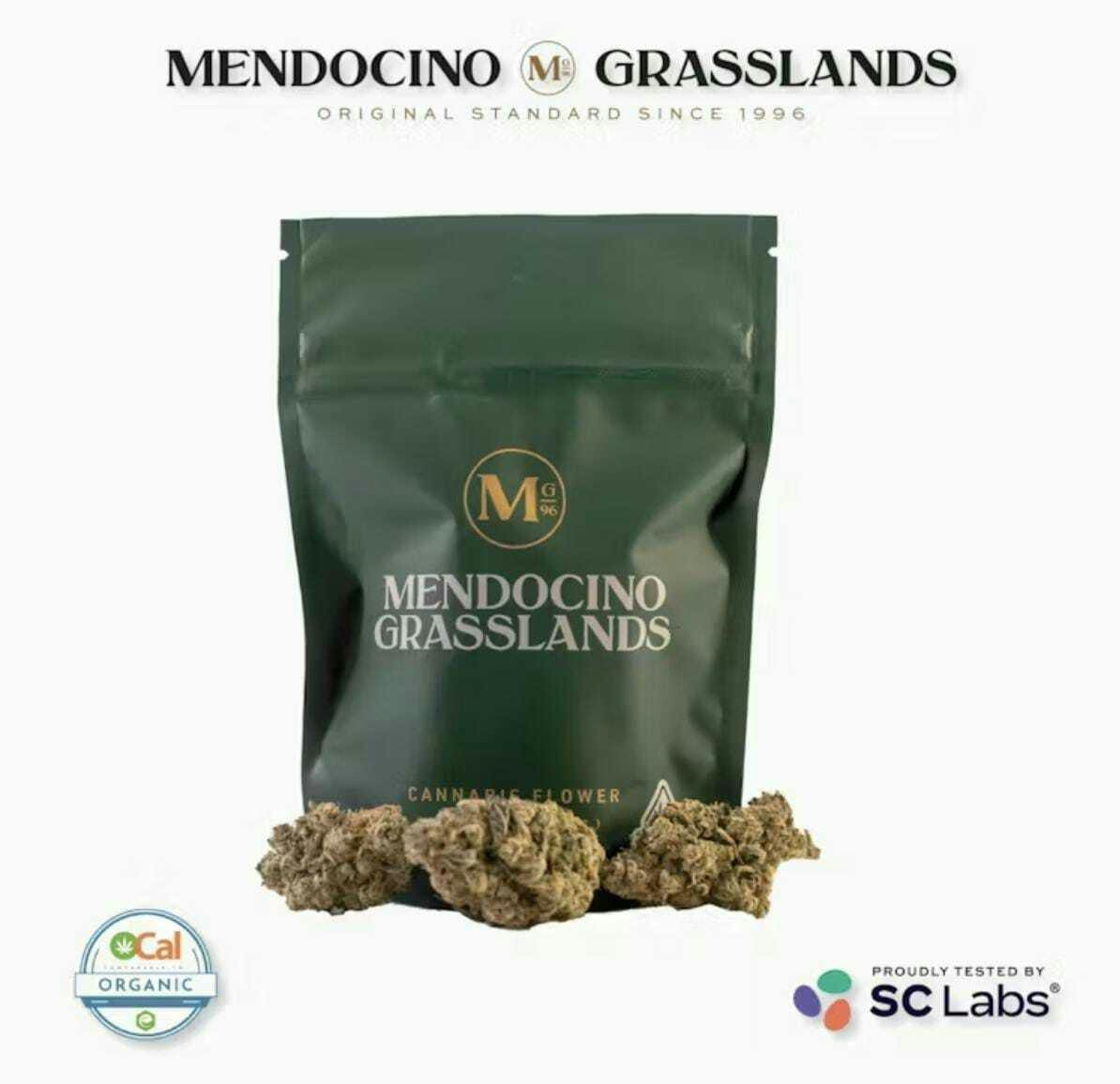 Mendocino Grasslands: Canal Street Runtz - - Csr - Ocal Gh