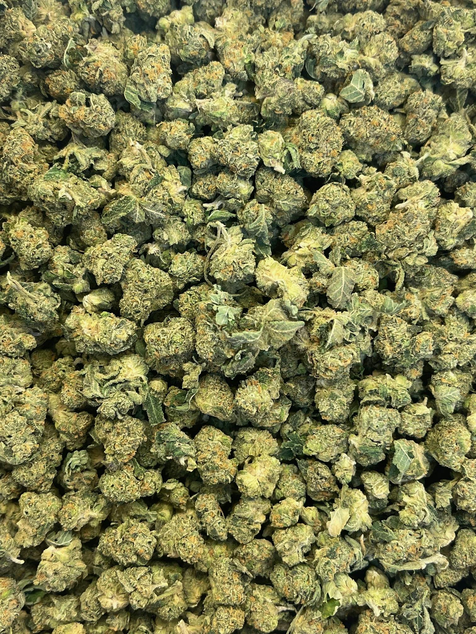 Apple Fritter | Smalls