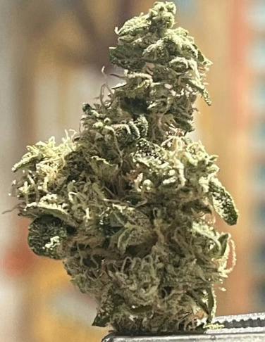 Cookie Butter Breath