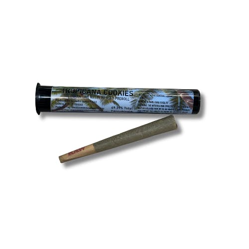 Tropicana Cookies | Infused Pre-Roll | [1g]