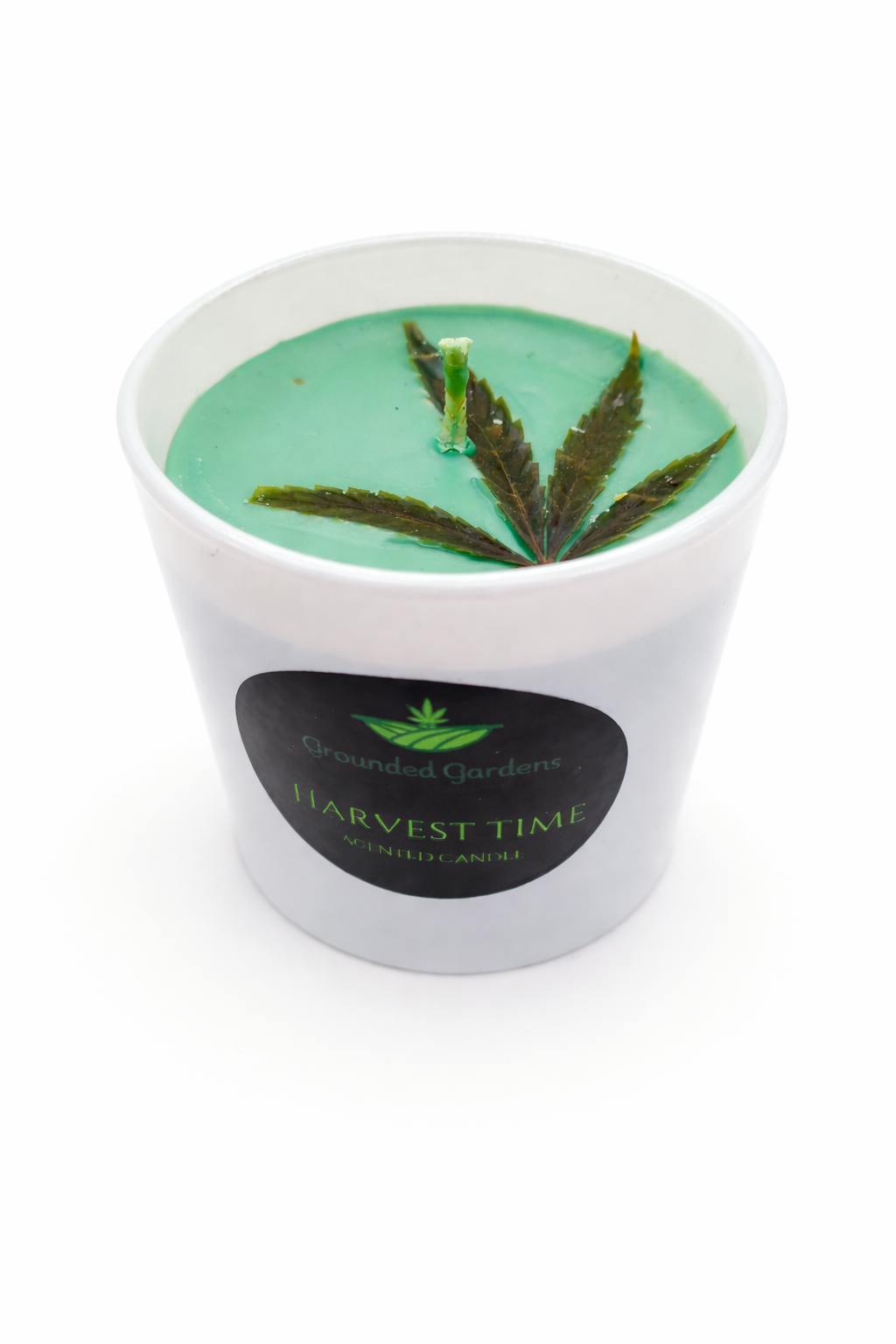 Harvest Time I Grounded Gardens I Scented Candle I 1 ct