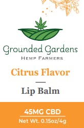 Citrus CBD Lip Balm I Grounded Gardens I 45mg I 1ct at Grounded Gardens