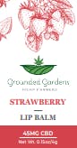 Strawberry CBD Lip Balm I Grounded Gardens I 45mg I 1ct at Grounded Gardens