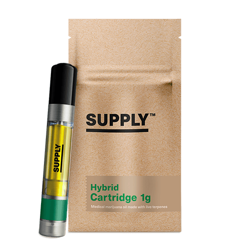 Supply™ Steel City Skunk 1g Cartridge