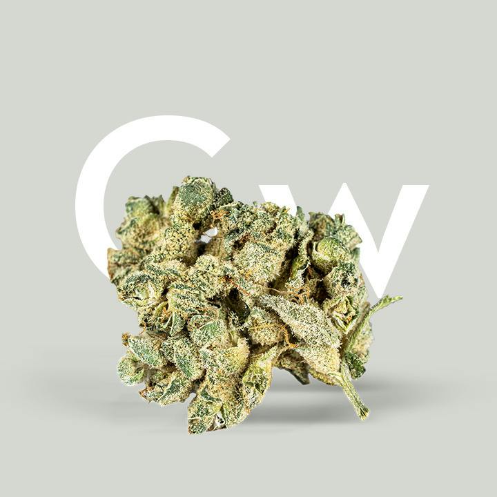 Garlic Wizard 3.5g - Curio (Pre-Pack)