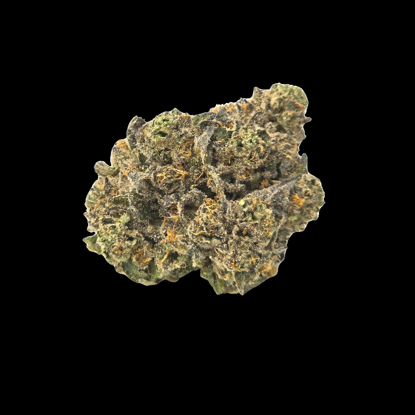 Glitter Bomb 3.5g - Curio (Pre-Pack)