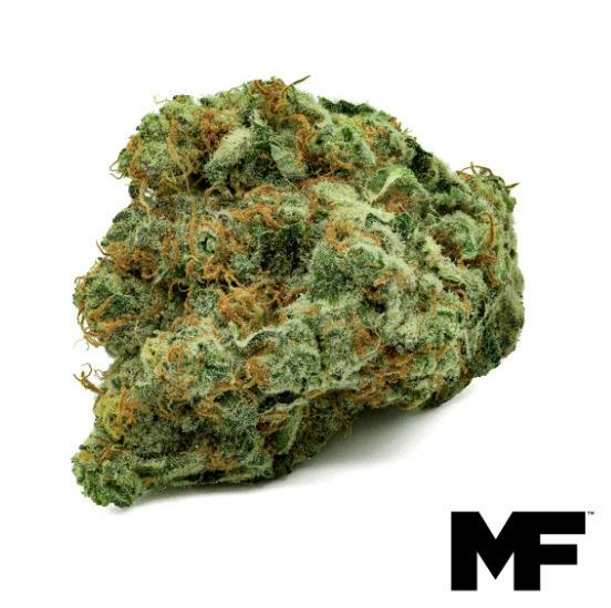 Fruit Gushers 3.5g - Modern Flower (Pre-Pack)